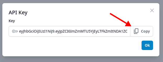 Copying the API key